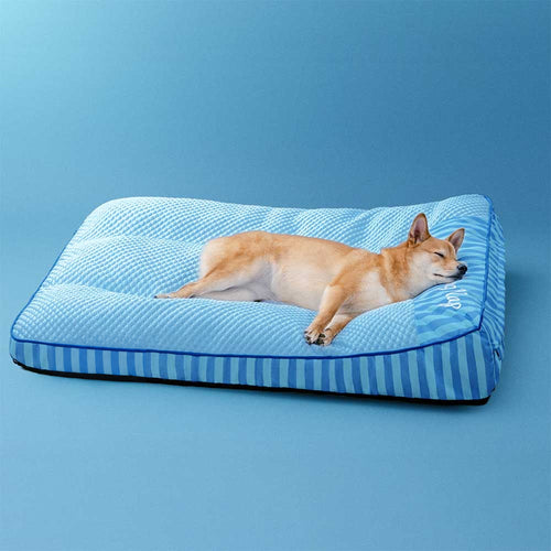 Cani Freschi Cuccia | Ortopedica, Lavabile, Superficie in Seta Ghiacciata