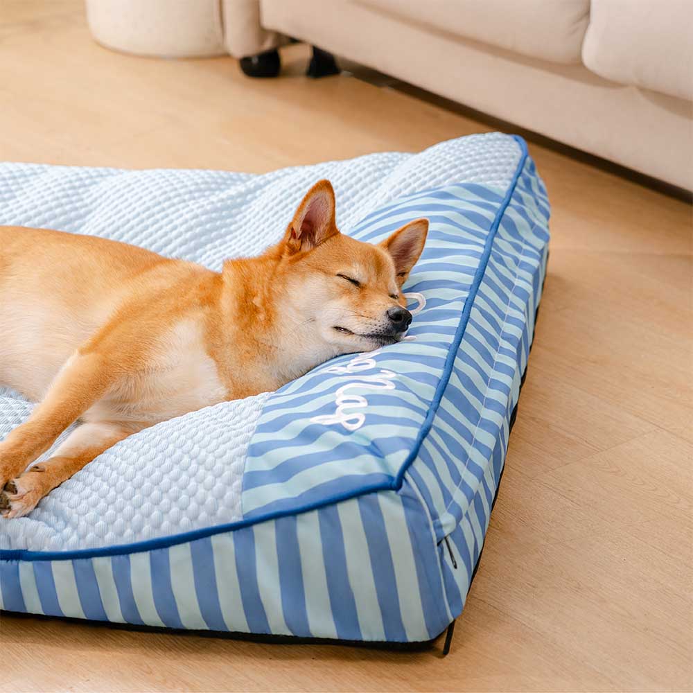 Cani Freschi Cuccia | Ortopedica, Lavabile, Superficie in Seta Ghiacciata