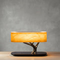 Luce della Vita Lampada da Tavolo | Ricarica Wireless, Bluetooth Integrato