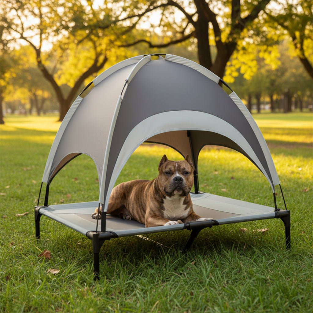 PawAir Cuccia per Cani da Esterno | Rialzata, Protezione UV, Tappetino Rinfrescante