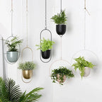 Porte-plantes Vetra | minimaliste avec chaîne réglable pour intérieur