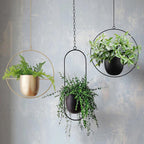 Porte-plantes Vetra | minimaliste avec chaîne réglable pour intérieur