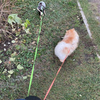 Guinzaglio Doppio Antigroviglio per Cani, Tutte le Taglie