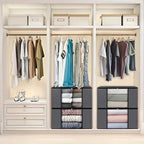 Scatola Organizer Portabiti 60x40x35cm Grigia con Finestra Trasparente
